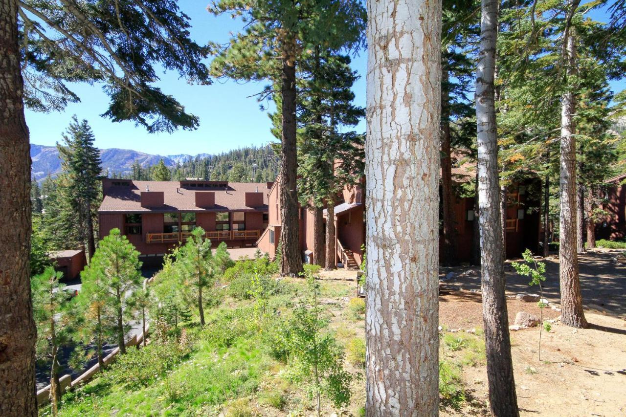 Mammoth Ski & Racquet Club #115